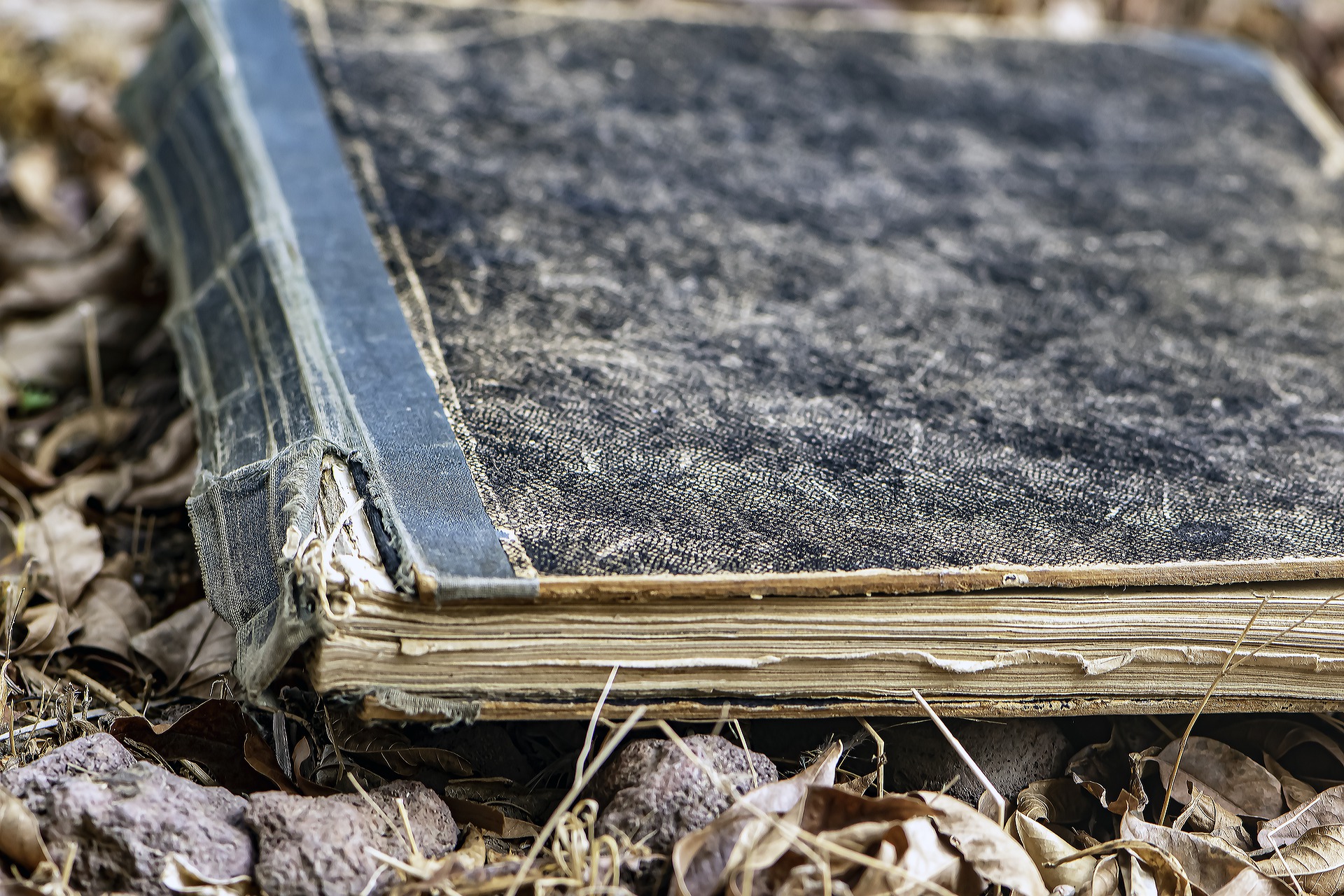 Worn book. Книжка с оборванными листами. Старые порванные книги. На дне книга. Старинные книги порванные.